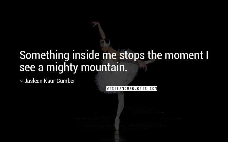 Jasleen Kaur Gumber Quotes: Something inside me stops the moment I see a mighty mountain.