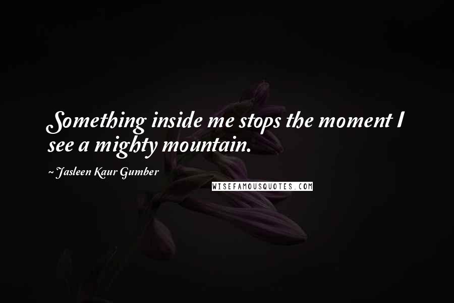 Jasleen Kaur Gumber Quotes: Something inside me stops the moment I see a mighty mountain.