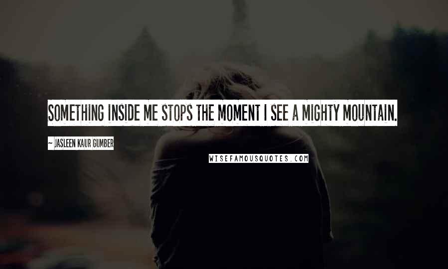 Jasleen Kaur Gumber Quotes: Something inside me stops the moment I see a mighty mountain.