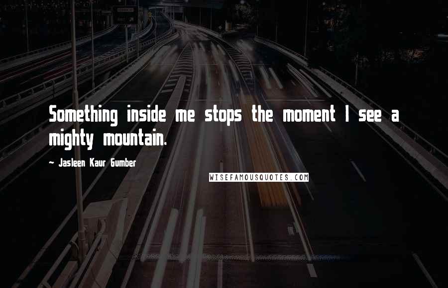 Jasleen Kaur Gumber Quotes: Something inside me stops the moment I see a mighty mountain.
