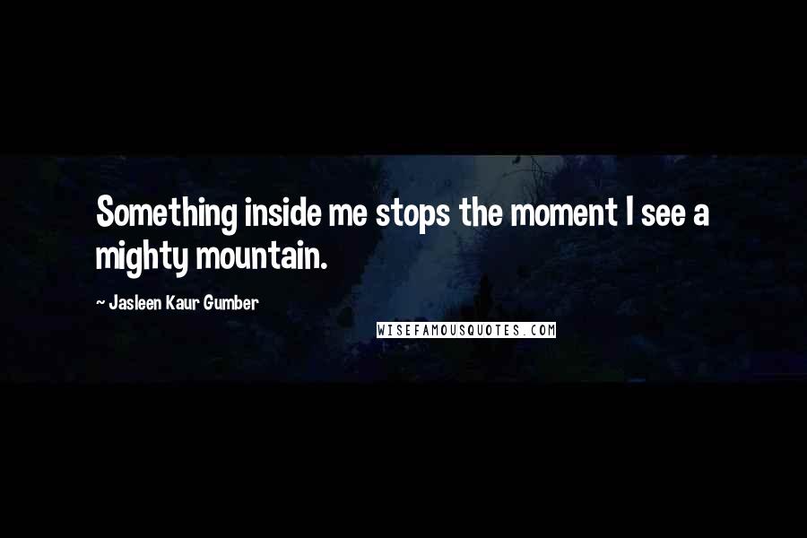 Jasleen Kaur Gumber Quotes: Something inside me stops the moment I see a mighty mountain.