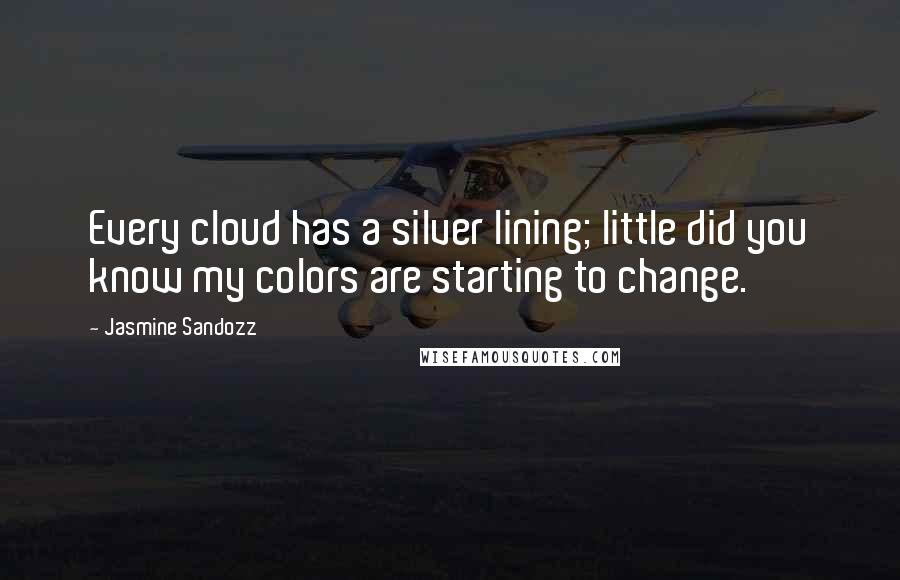 Jasmine Sandozz Quotes: Every cloud has a silver lining; little did you know my colors are starting to change.