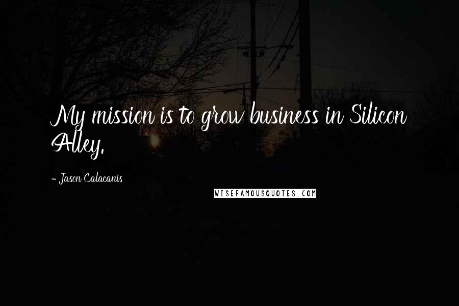 Jason Calacanis Quotes: My mission is to grow business in Silicon Alley.