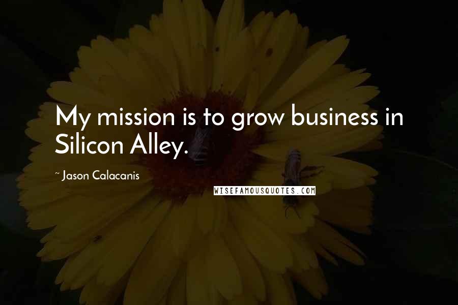 Jason Calacanis Quotes: My mission is to grow business in Silicon Alley.