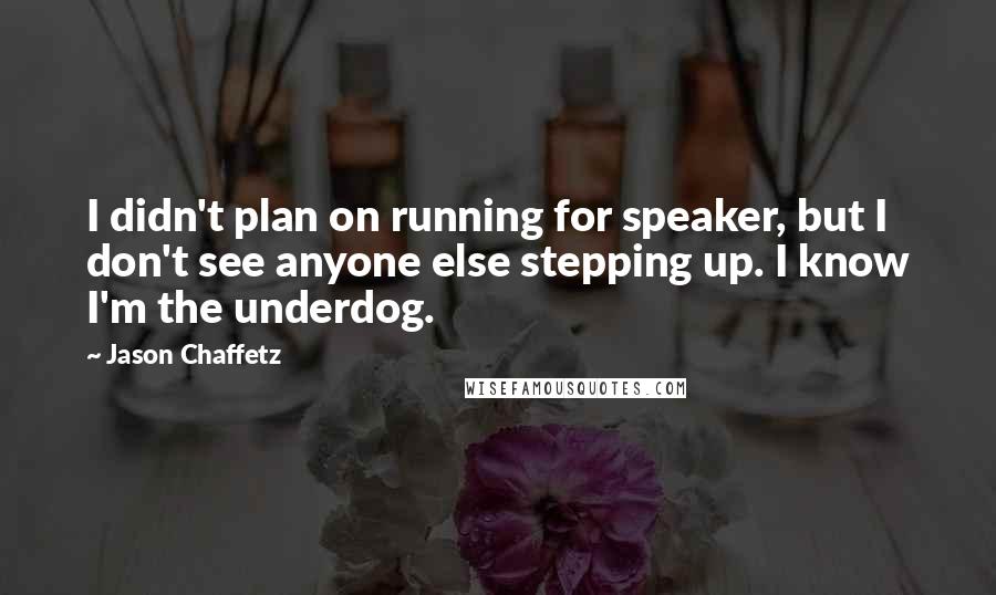 Jason Chaffetz Quotes: I didn't plan on running for speaker, but I don't see anyone else stepping up. I know I'm the underdog.