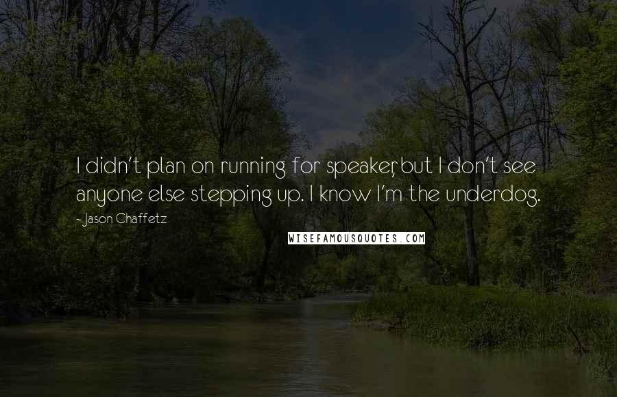 Jason Chaffetz Quotes: I didn't plan on running for speaker, but I don't see anyone else stepping up. I know I'm the underdog.