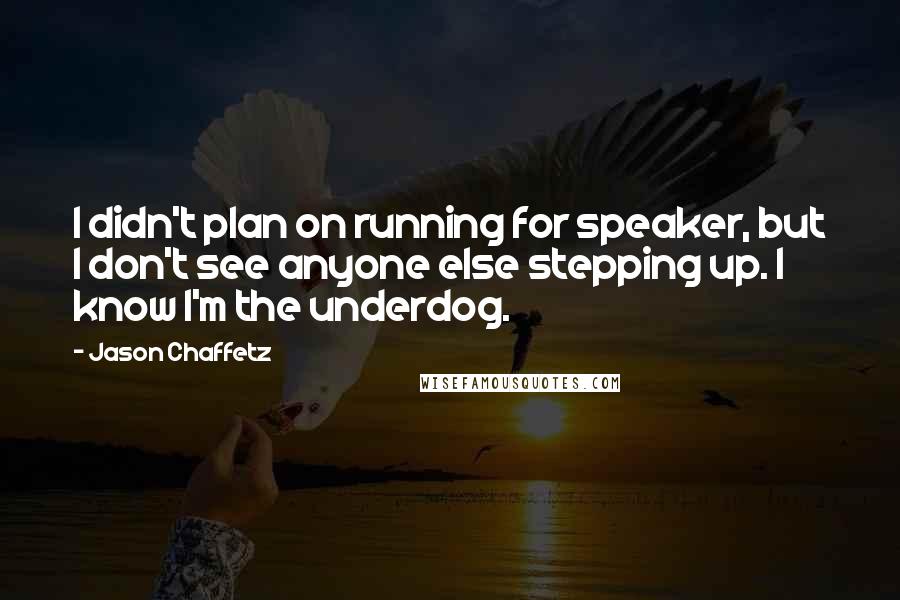 Jason Chaffetz Quotes: I didn't plan on running for speaker, but I don't see anyone else stepping up. I know I'm the underdog.