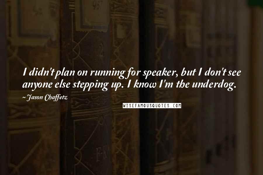 Jason Chaffetz Quotes: I didn't plan on running for speaker, but I don't see anyone else stepping up. I know I'm the underdog.