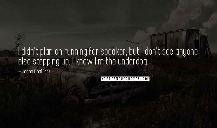 Jason Chaffetz Quotes: I didn't plan on running for speaker, but I don't see anyone else stepping up. I know I'm the underdog.