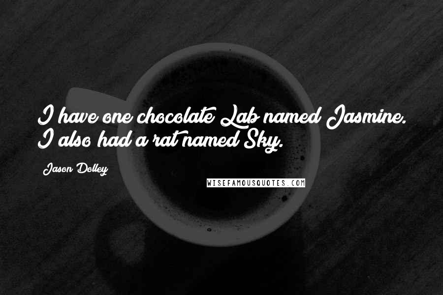 Jason Dolley Quotes: I have one chocolate Lab named Jasmine. I also had a rat named Sky.