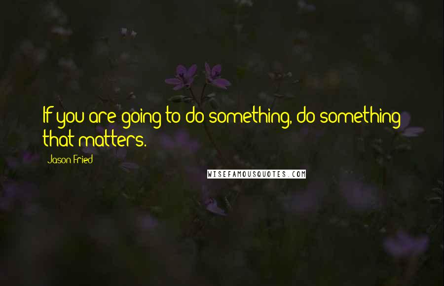 Jason Fried Quotes: If you are going to do something, do something that matters.