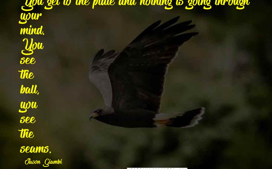 Jason Giambi Quotes: You get to the plate and nothing is going through your mind. You see the ball, you see the seams.