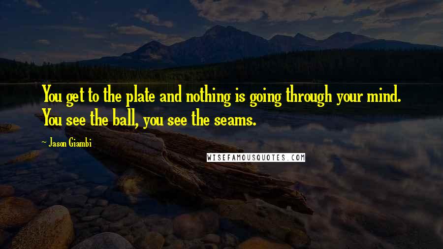 Jason Giambi Quotes: You get to the plate and nothing is going through your mind. You see the ball, you see the seams.