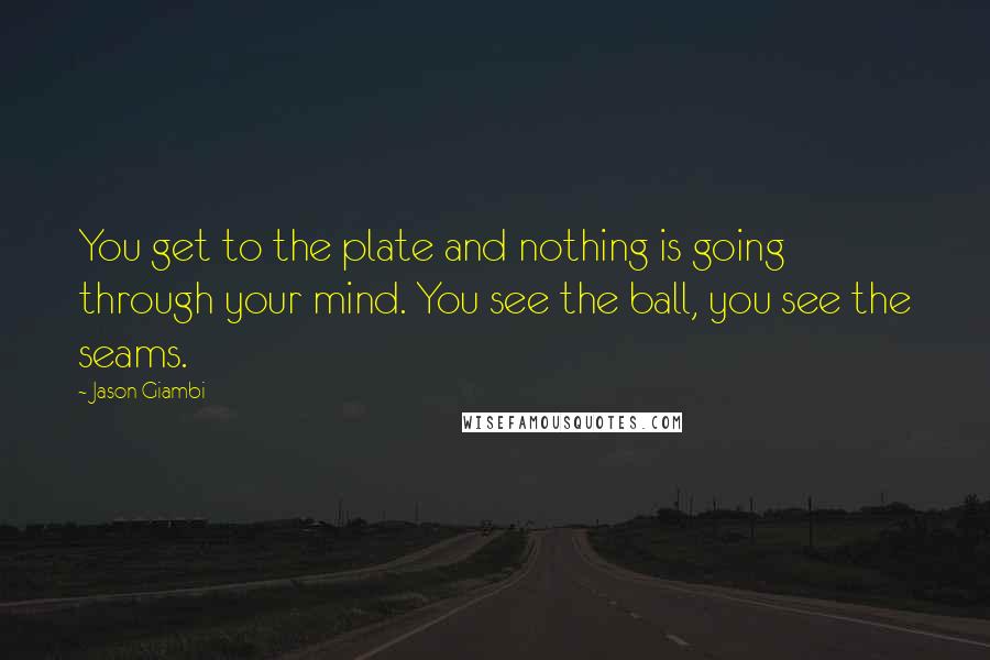 Jason Giambi Quotes: You get to the plate and nothing is going through your mind. You see the ball, you see the seams.
