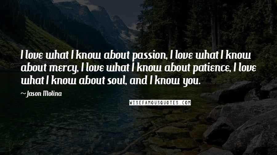 Jason Molina Quotes: I love what I know about passion, I love what I know about mercy, I love what I know about patience, I love what I know about soul, and I know you.