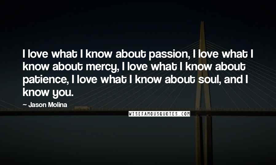 Jason Molina Quotes: I love what I know about passion, I love what I know about mercy, I love what I know about patience, I love what I know about soul, and I know you.