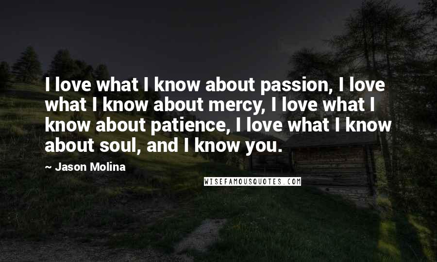 Jason Molina Quotes: I love what I know about passion, I love what I know about mercy, I love what I know about patience, I love what I know about soul, and I know you.
