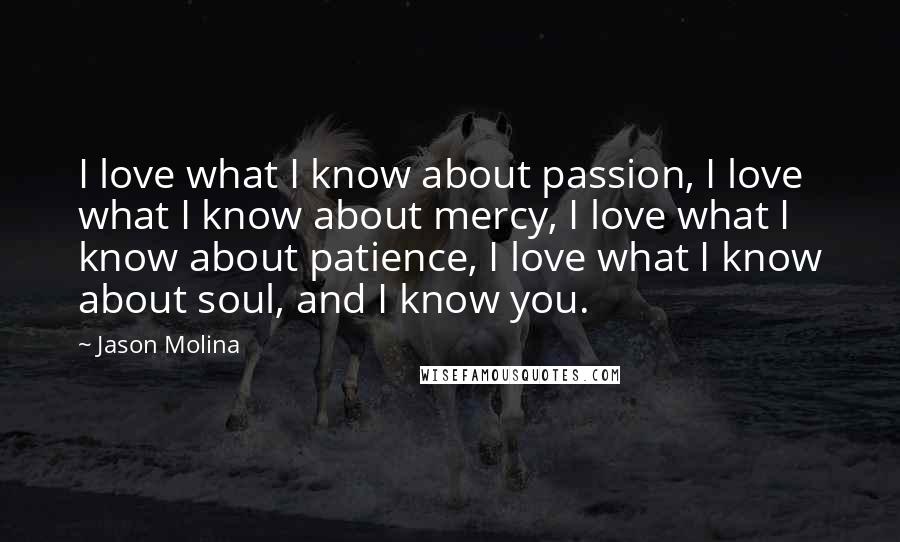 Jason Molina Quotes: I love what I know about passion, I love what I know about mercy, I love what I know about patience, I love what I know about soul, and I know you.