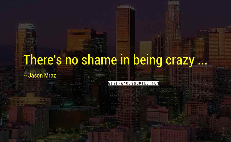 Jason Mraz Quotes: There's no shame in being crazy ...