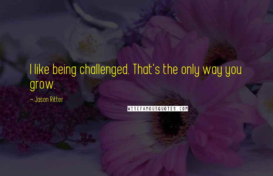 Jason Ritter Quotes: I like being challenged. That's the only way you grow.