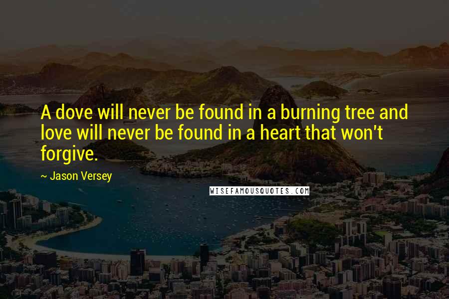 Jason Versey Quotes: A dove will never be found in a burning tree and love will never be found in a heart that won't forgive.