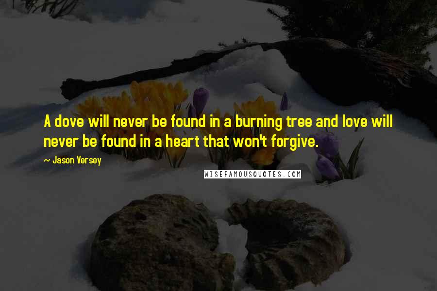 Jason Versey Quotes: A dove will never be found in a burning tree and love will never be found in a heart that won't forgive.