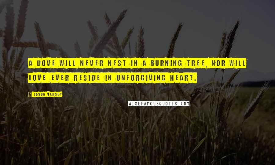 Jason Versey Quotes: A dove will never nest in a burning tree, nor will love ever reside in unforgiving heart.