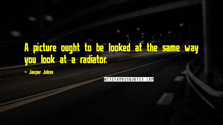 Jasper Johns Quotes: A picture ought to be looked at the same way you look at a radiator.