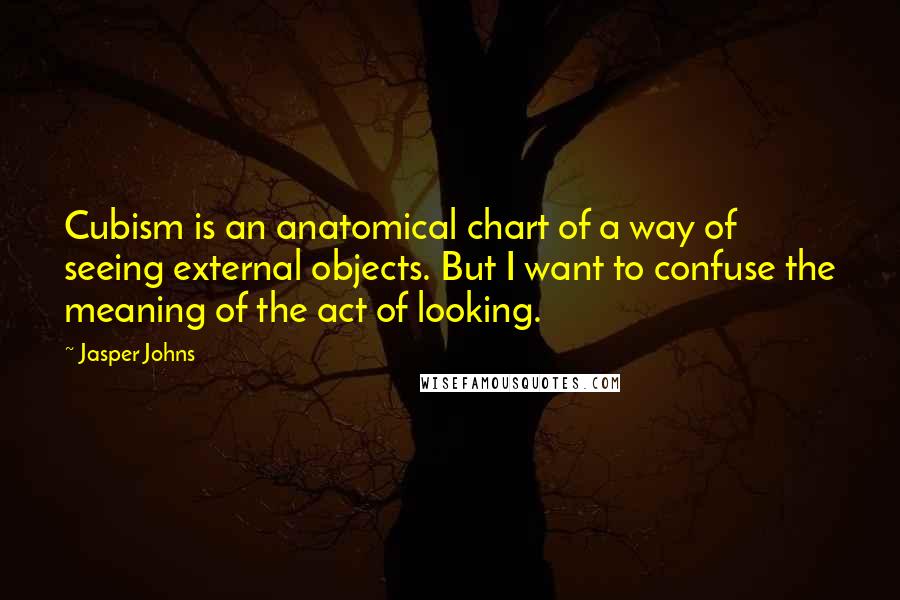 Jasper Johns Quotes: Cubism is an anatomical chart of a way of seeing external objects. But I want to confuse the meaning of the act of looking.