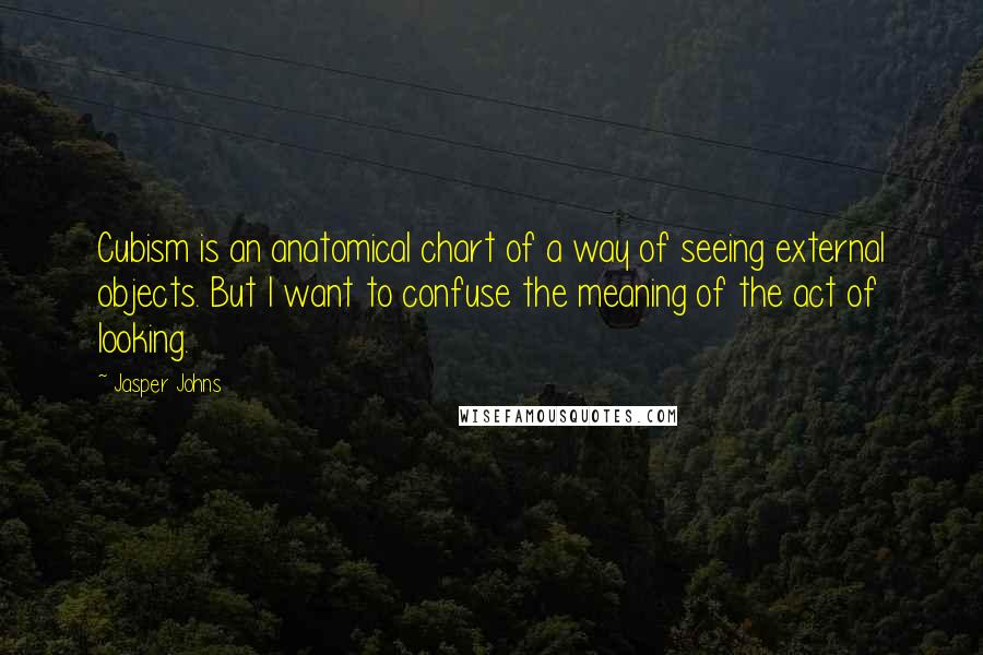 Jasper Johns Quotes: Cubism is an anatomical chart of a way of seeing external objects. But I want to confuse the meaning of the act of looking.