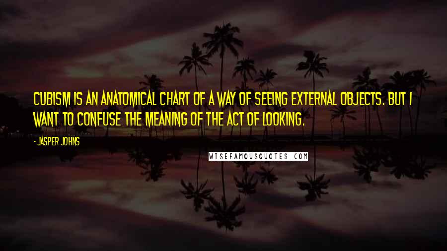 Jasper Johns Quotes: Cubism is an anatomical chart of a way of seeing external objects. But I want to confuse the meaning of the act of looking.