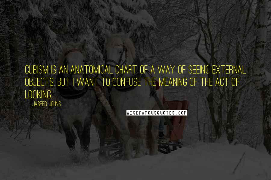 Jasper Johns Quotes: Cubism is an anatomical chart of a way of seeing external objects. But I want to confuse the meaning of the act of looking.