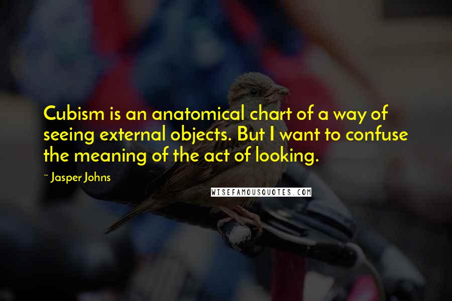Jasper Johns Quotes: Cubism is an anatomical chart of a way of seeing external objects. But I want to confuse the meaning of the act of looking.