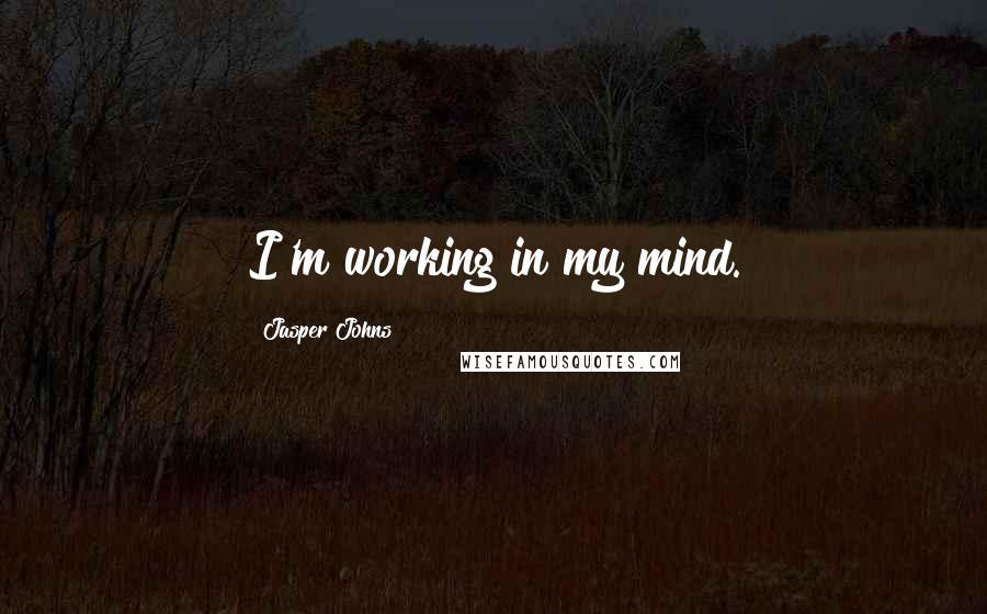 Jasper Johns Quotes: I'm working in my mind.