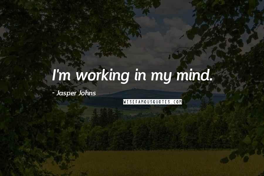 Jasper Johns Quotes: I'm working in my mind.