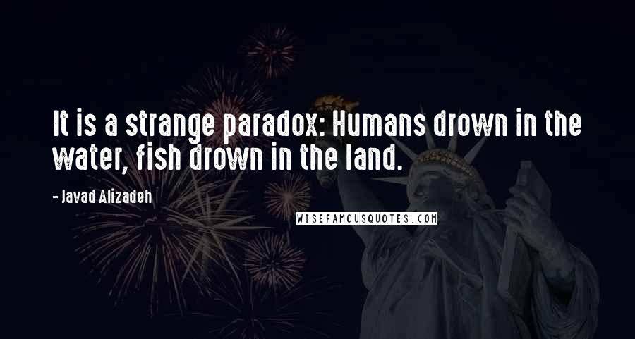 Javad Alizadeh Quotes: It is a strange paradox: Humans drown in the water, fish drown in the land.