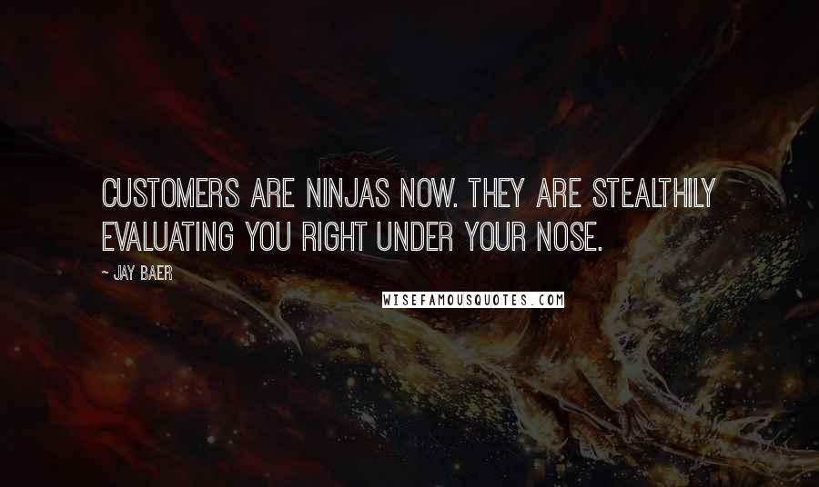 Jay Baer Quotes: Customers are ninjas now. They are stealthily evaluating you right under your nose.