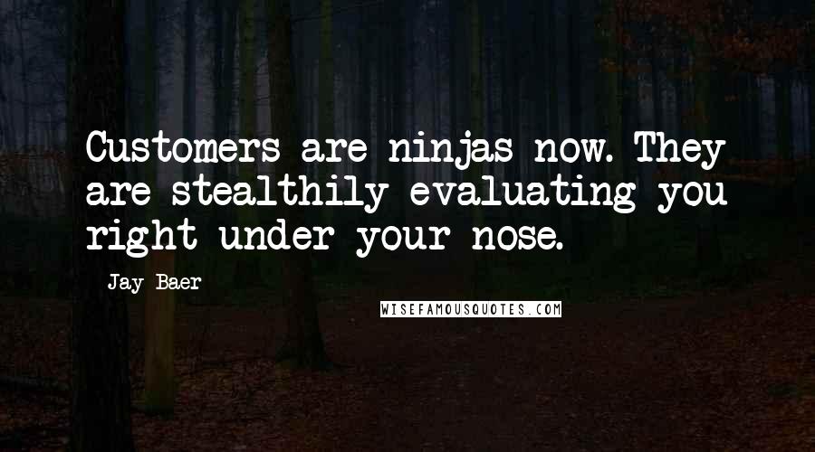 Jay Baer Quotes: Customers are ninjas now. They are stealthily evaluating you right under your nose.