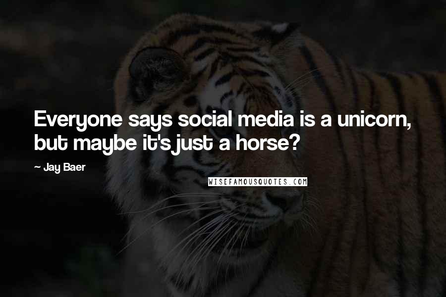 Jay Baer Quotes: Everyone says social media is a unicorn, but maybe it's just a horse?