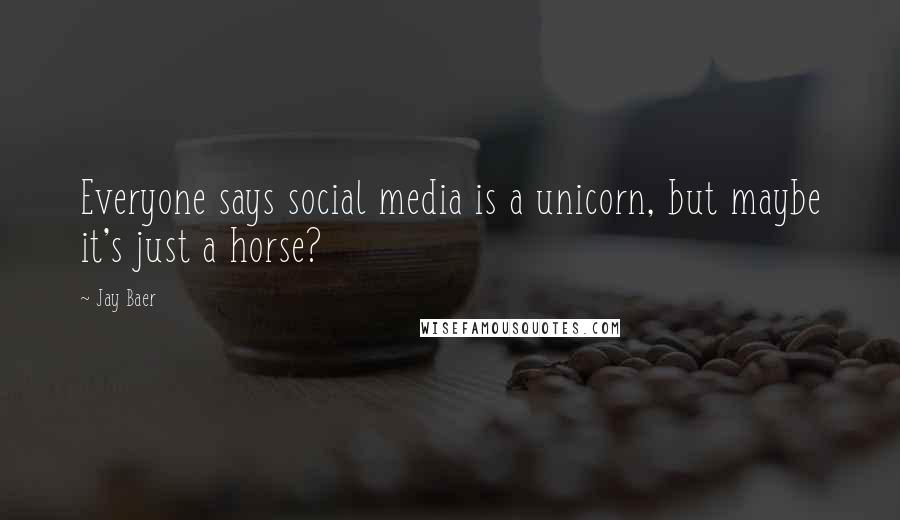 Jay Baer Quotes: Everyone says social media is a unicorn, but maybe it's just a horse?