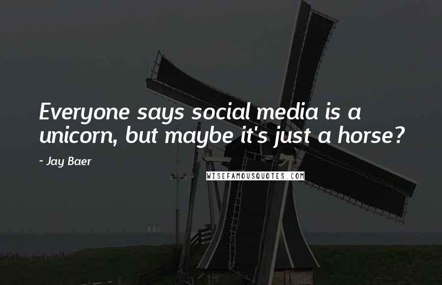 Jay Baer Quotes: Everyone says social media is a unicorn, but maybe it's just a horse?