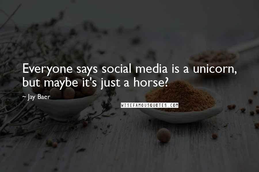 Jay Baer Quotes: Everyone says social media is a unicorn, but maybe it's just a horse?