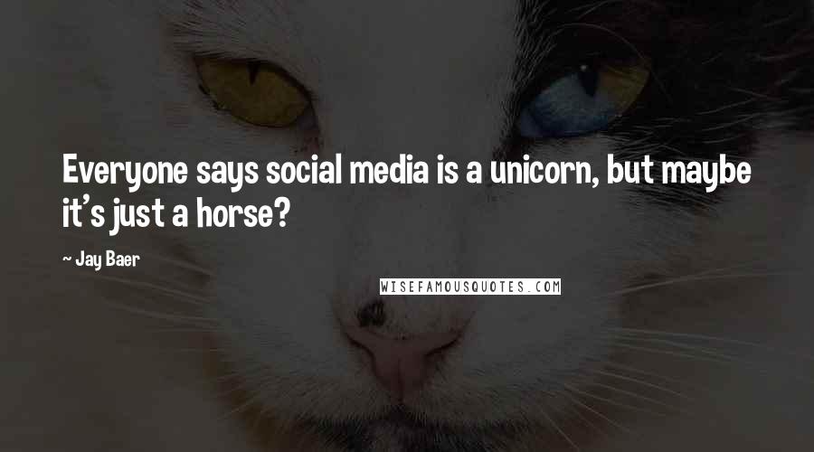 Jay Baer Quotes: Everyone says social media is a unicorn, but maybe it's just a horse?