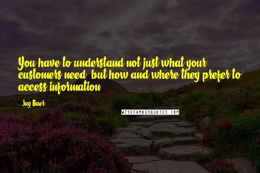 Jay Baer Quotes: You have to understand not just what your customers need, but how and where they prefer to access information.