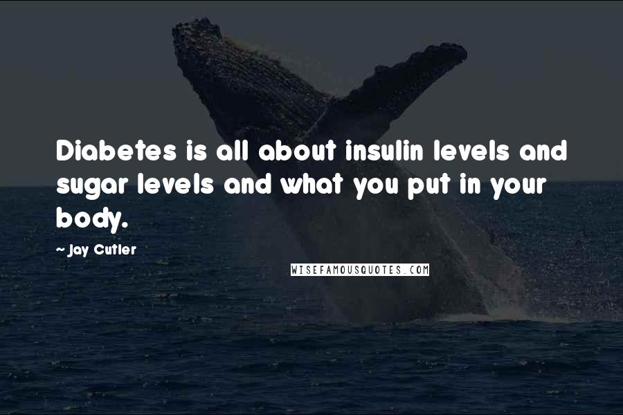 Jay Cutler Quotes: Diabetes is all about insulin levels and sugar levels and what you put in your body.