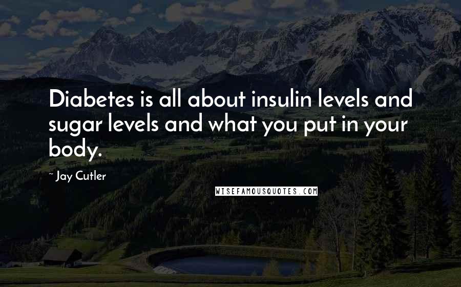 Jay Cutler Quotes: Diabetes is all about insulin levels and sugar levels and what you put in your body.