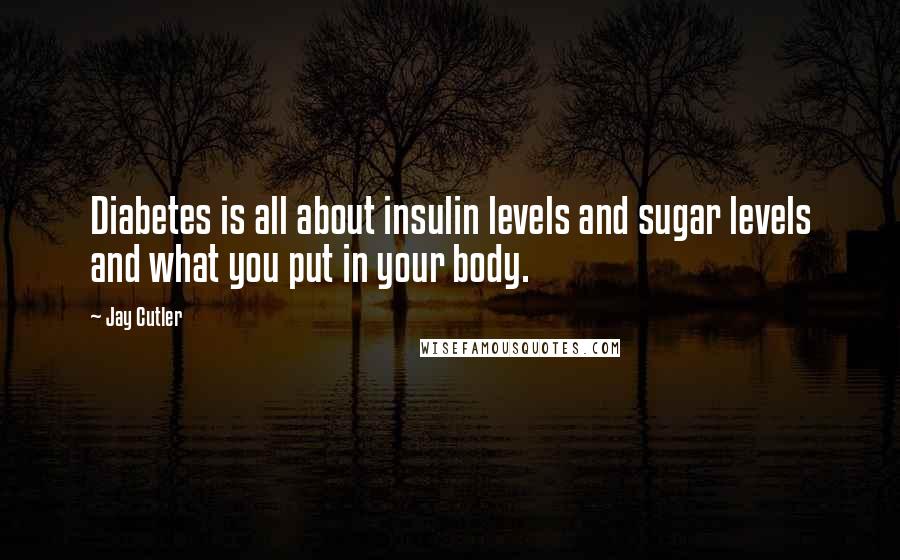 Jay Cutler Quotes: Diabetes is all about insulin levels and sugar levels and what you put in your body.