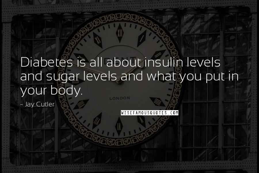 Jay Cutler Quotes: Diabetes is all about insulin levels and sugar levels and what you put in your body.