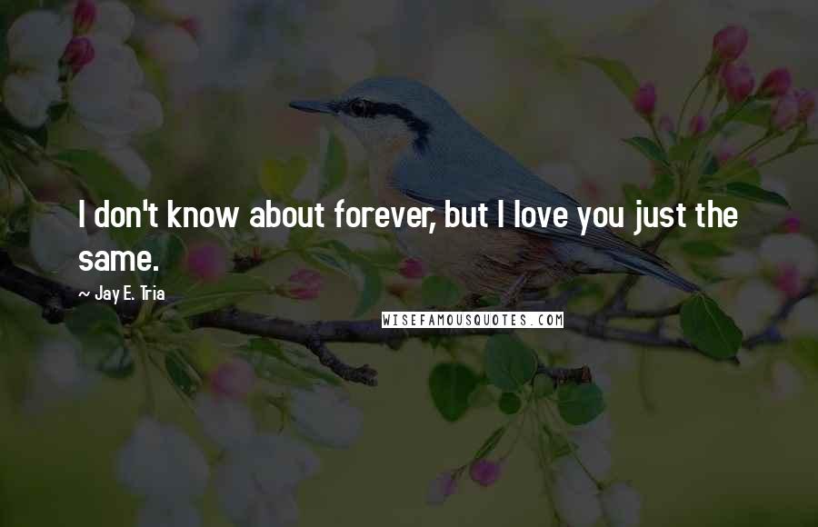 Jay E. Tria Quotes: I don't know about forever, but I love you just the same.