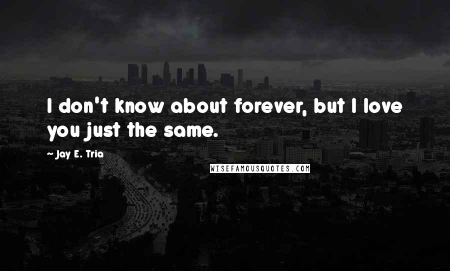 Jay E. Tria Quotes: I don't know about forever, but I love you just the same.